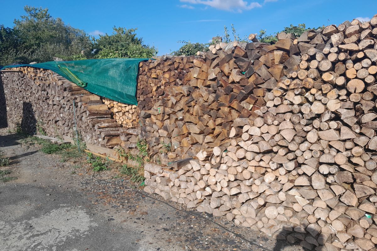 Photo 2 Bois de chauffage 
