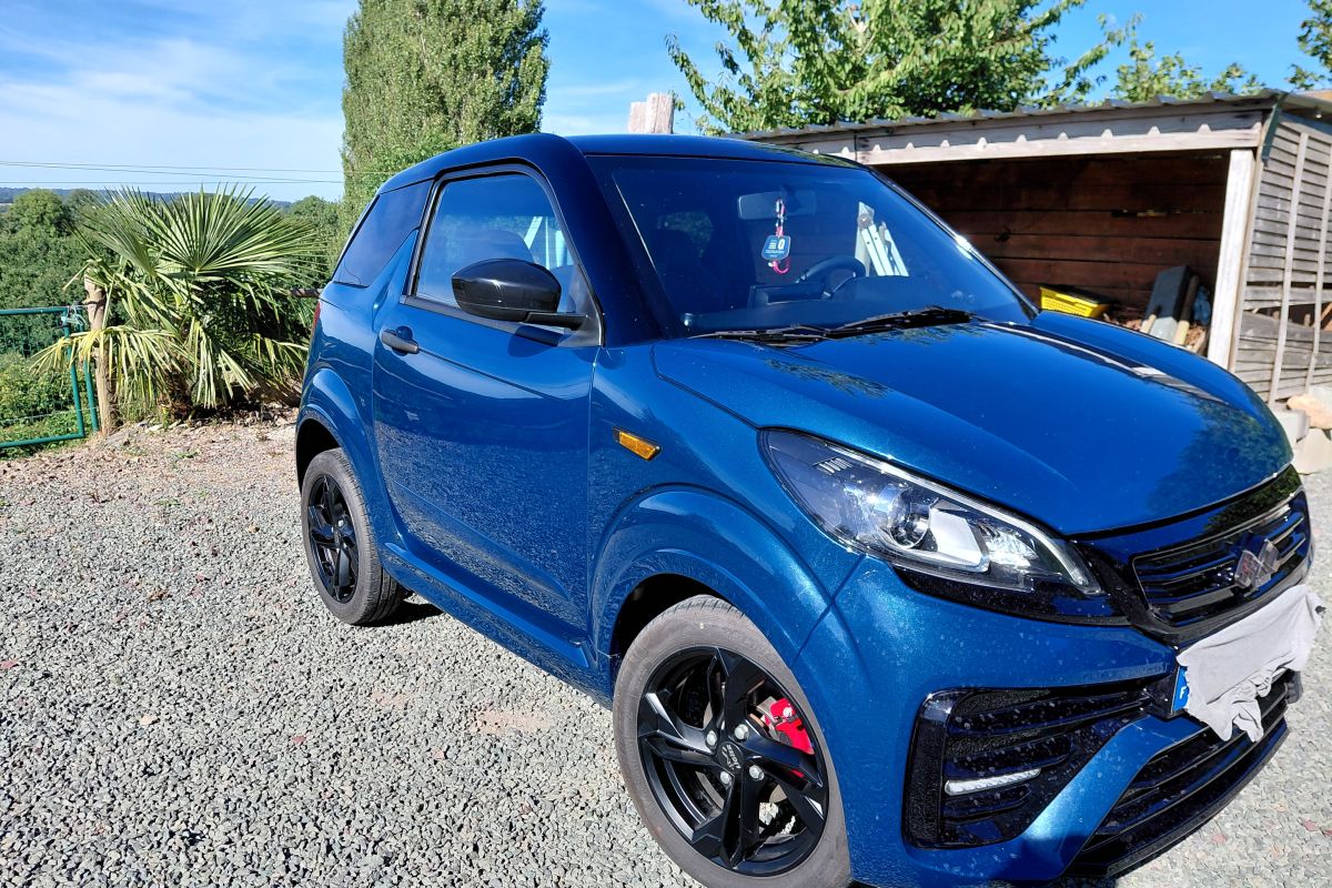 voiture sans permis