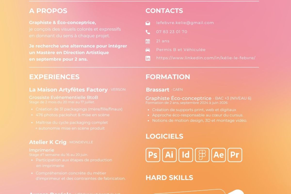 Recherche Alternance Mastère Direction Artistique
