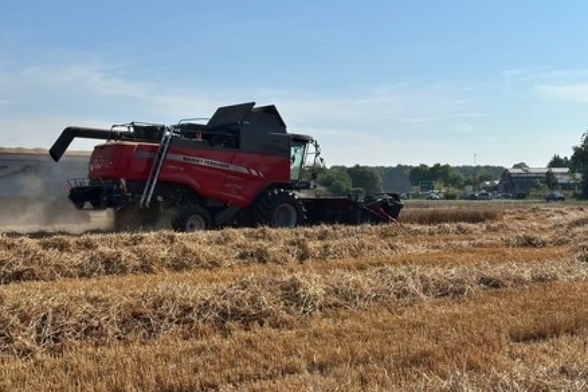 Photo 2 Offre d'emploi - rech. salarié agricole