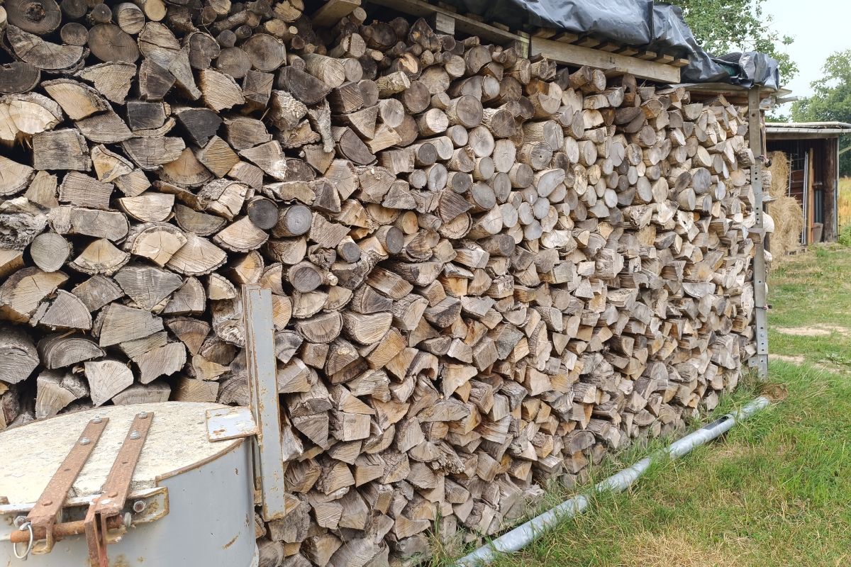 Bois de chauffage 