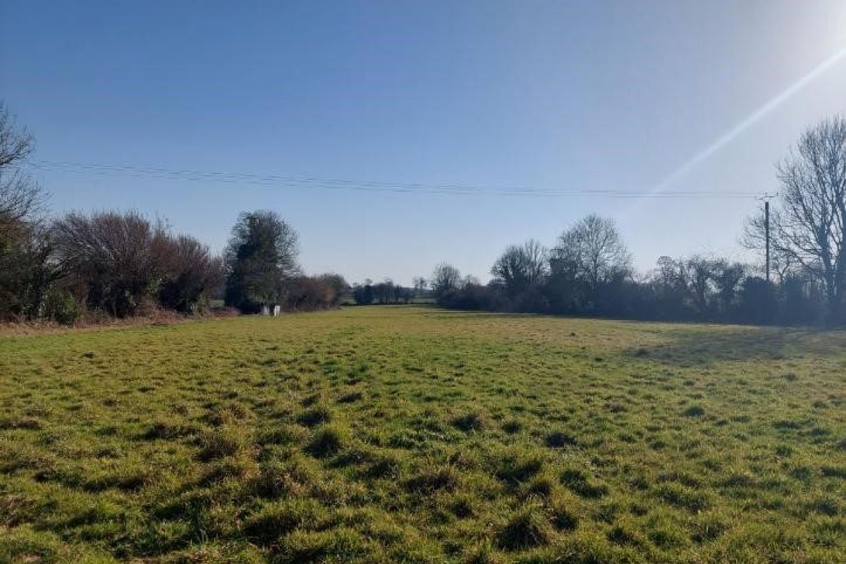 Photo 3 Maison avec 2 hectares et dépendances