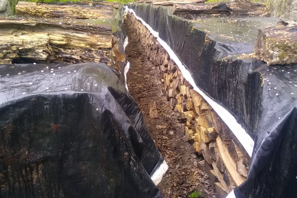Particulier vend bois de chauffage