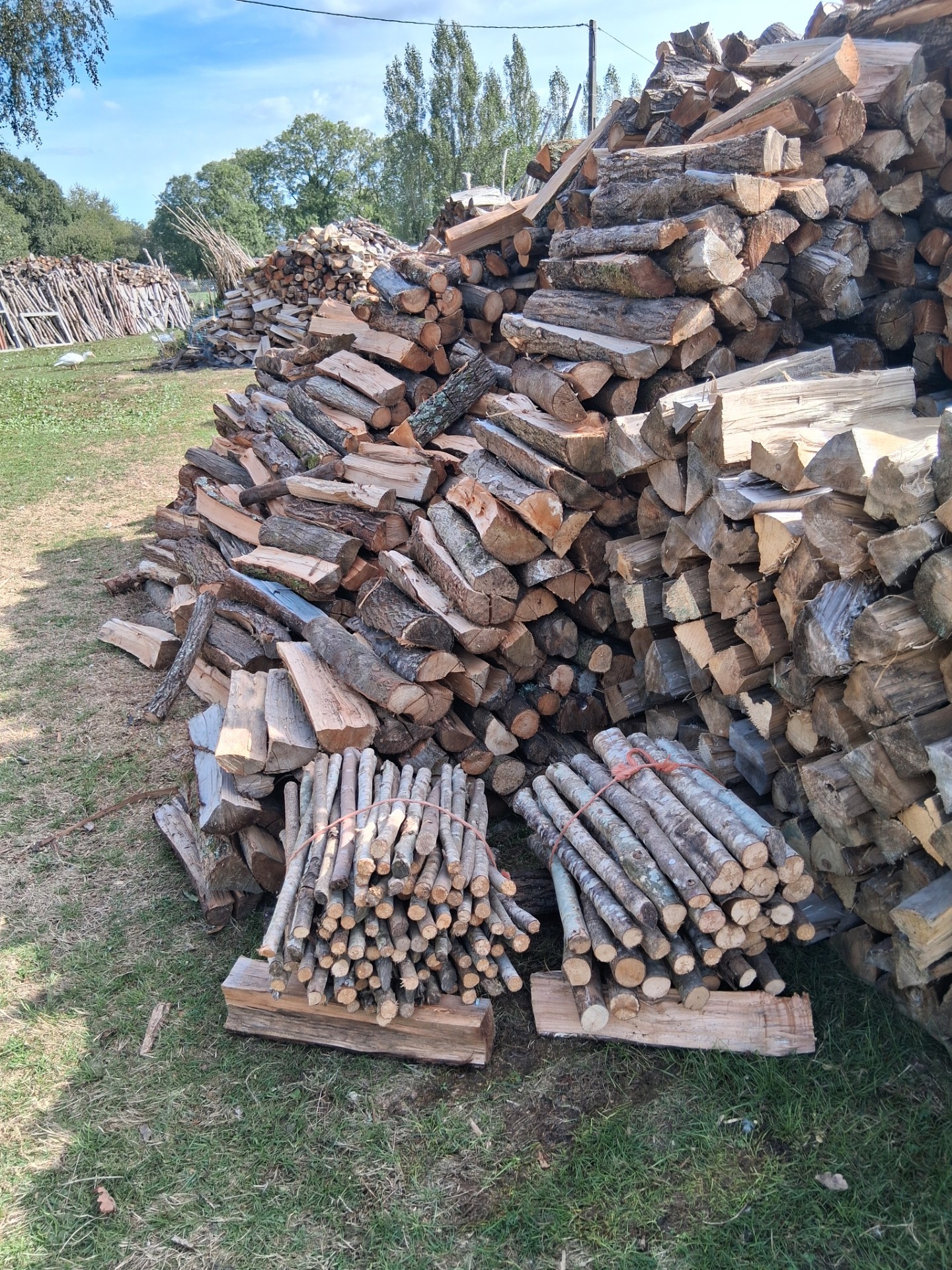 Bois de chauffage