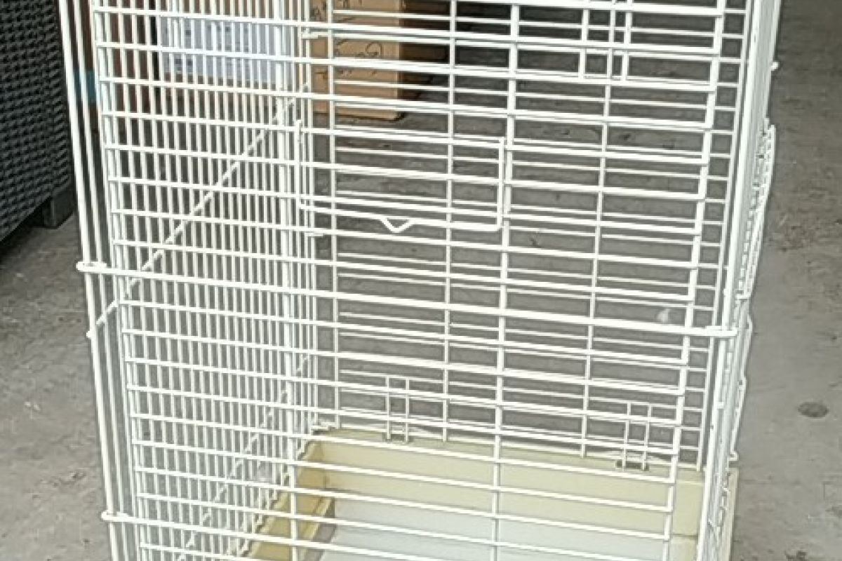 cage  nue