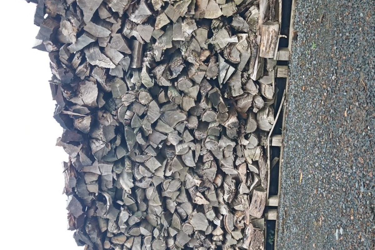 Bois de chauffage 