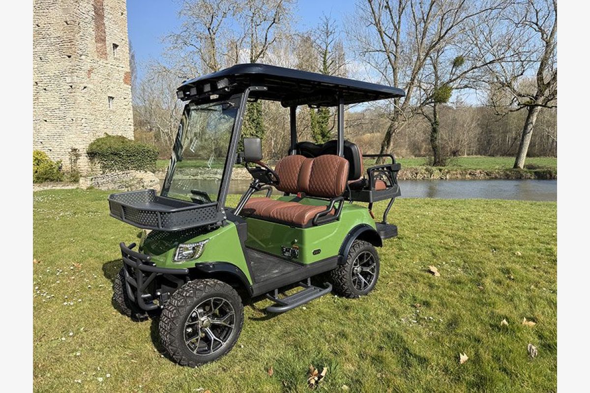 Véhicule électrique tout terrain