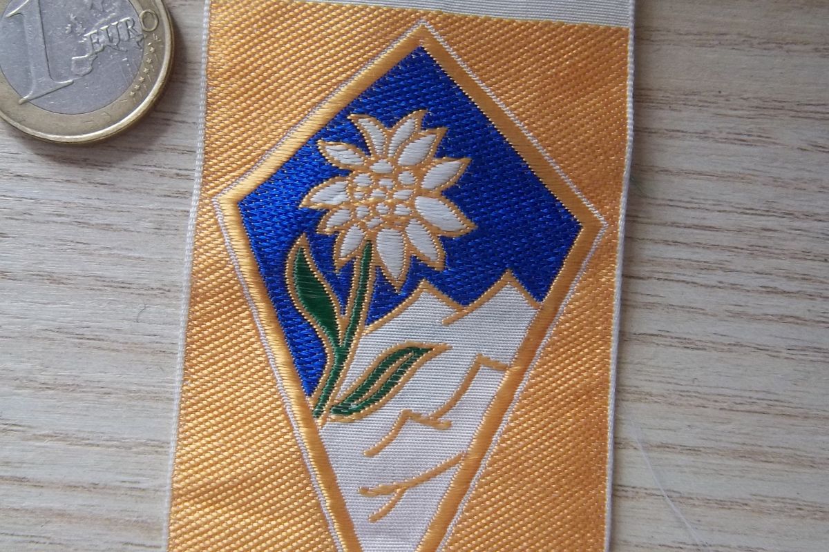 Ecusson 27 éme division alpine insigne militaire