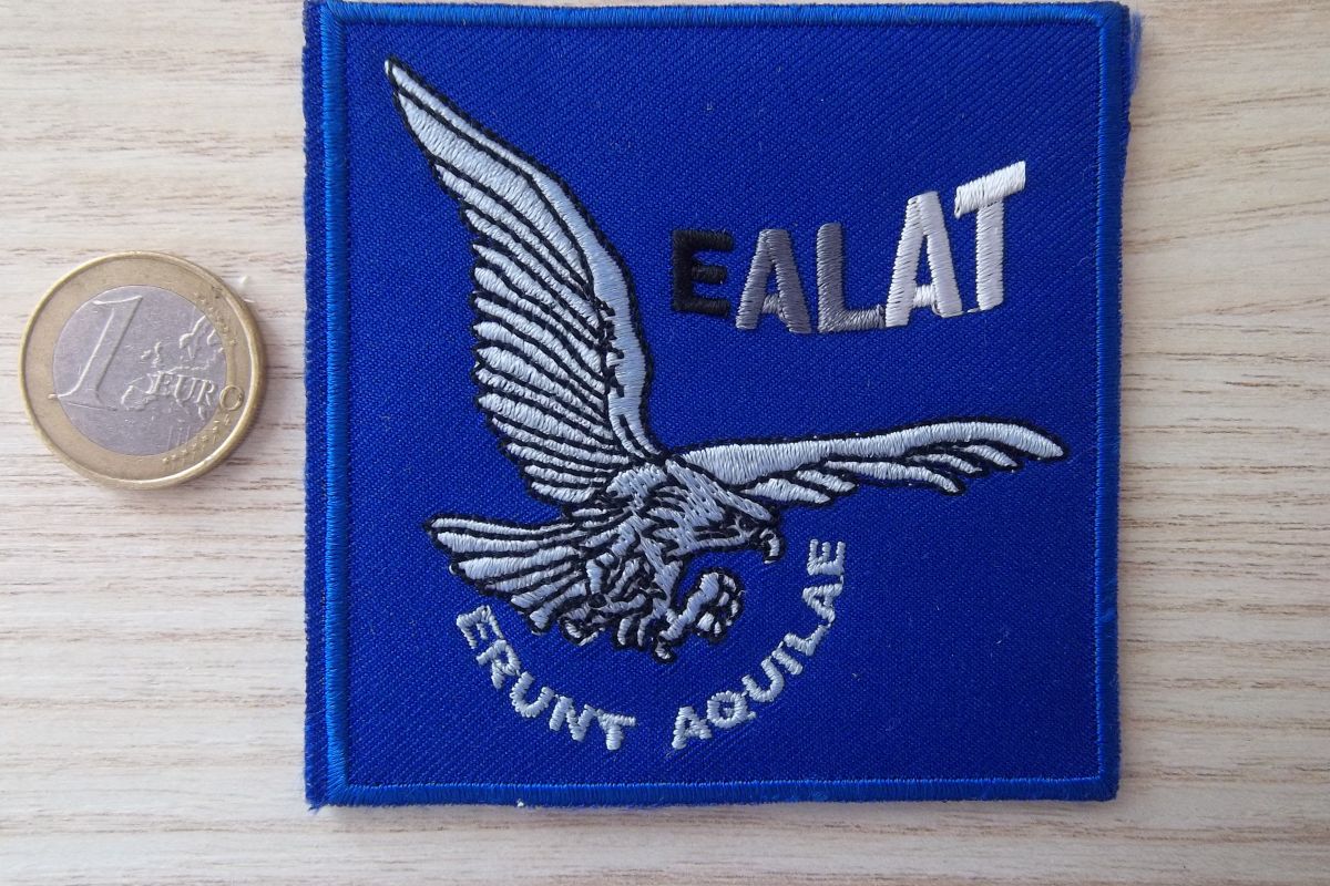 air école application légère armée terre écusson