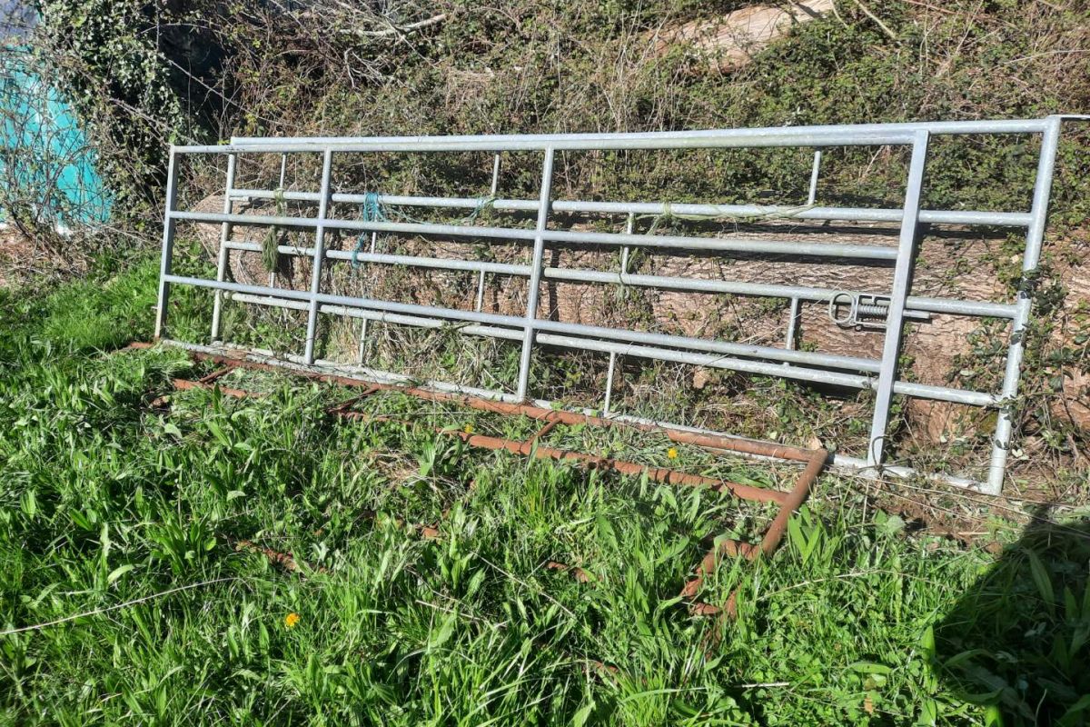 Barrière de stabulation 