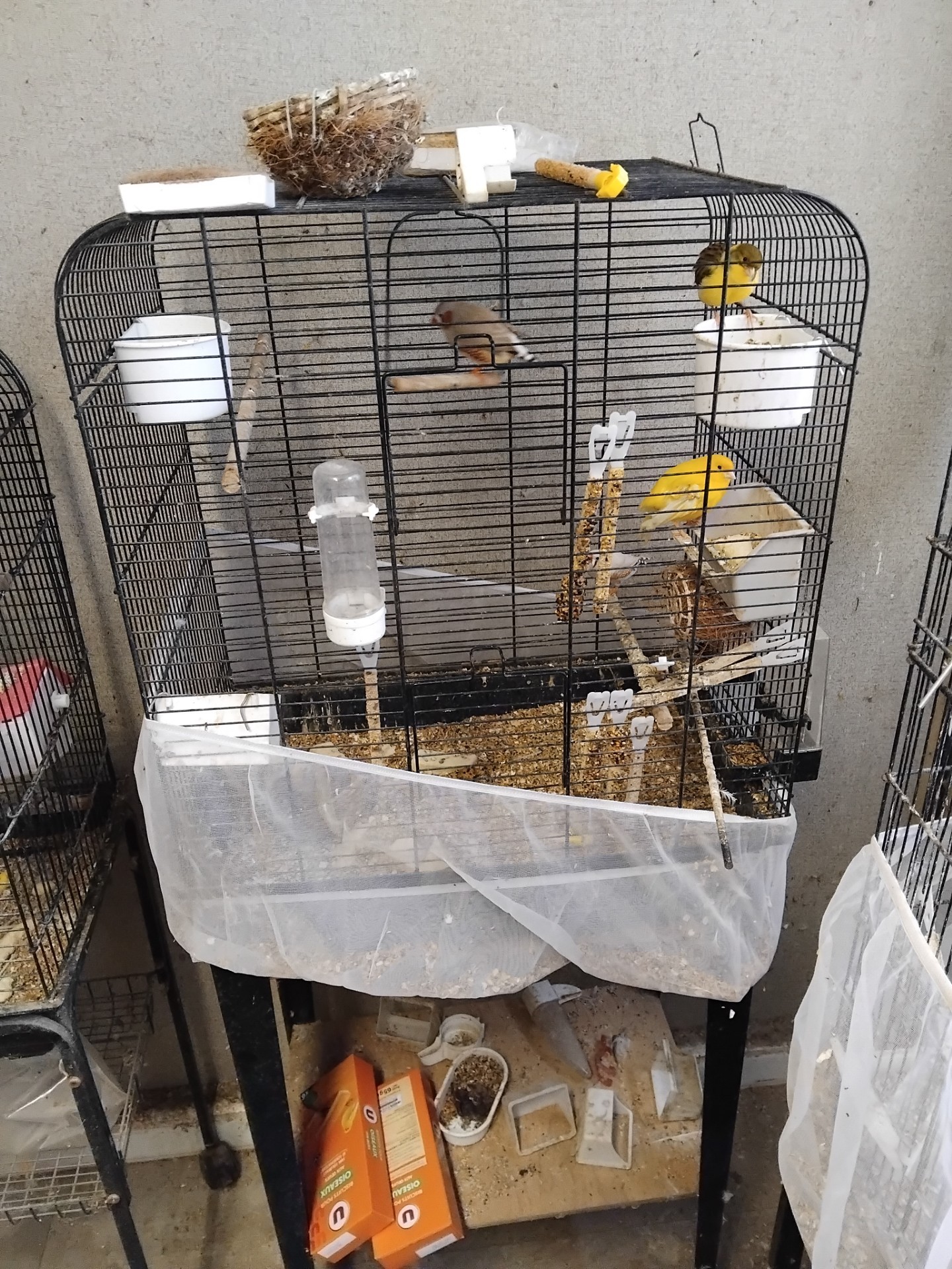 Photo 2 Plusieurs cages à  oiseaux