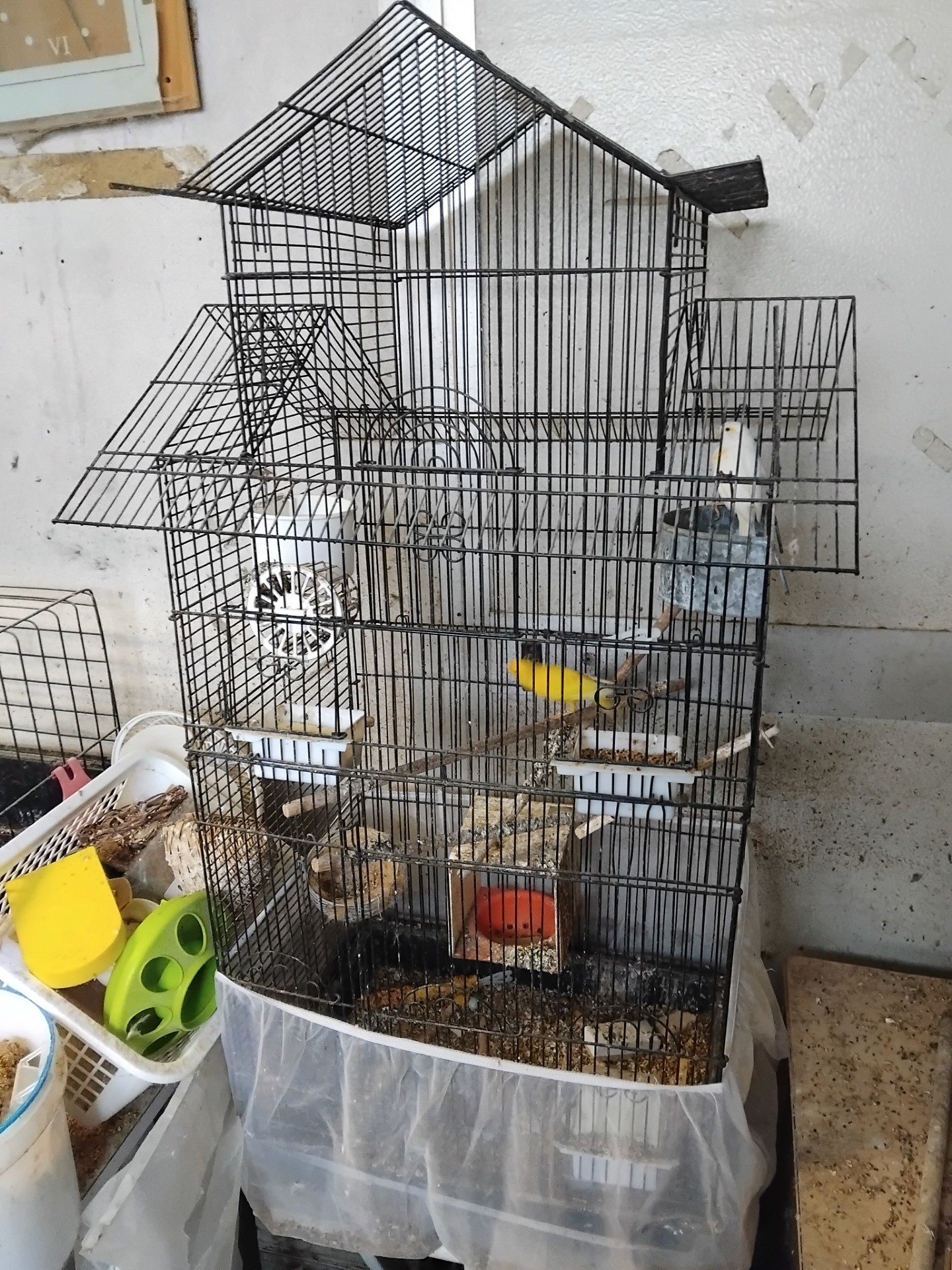 Plusieurs cages à  oiseaux