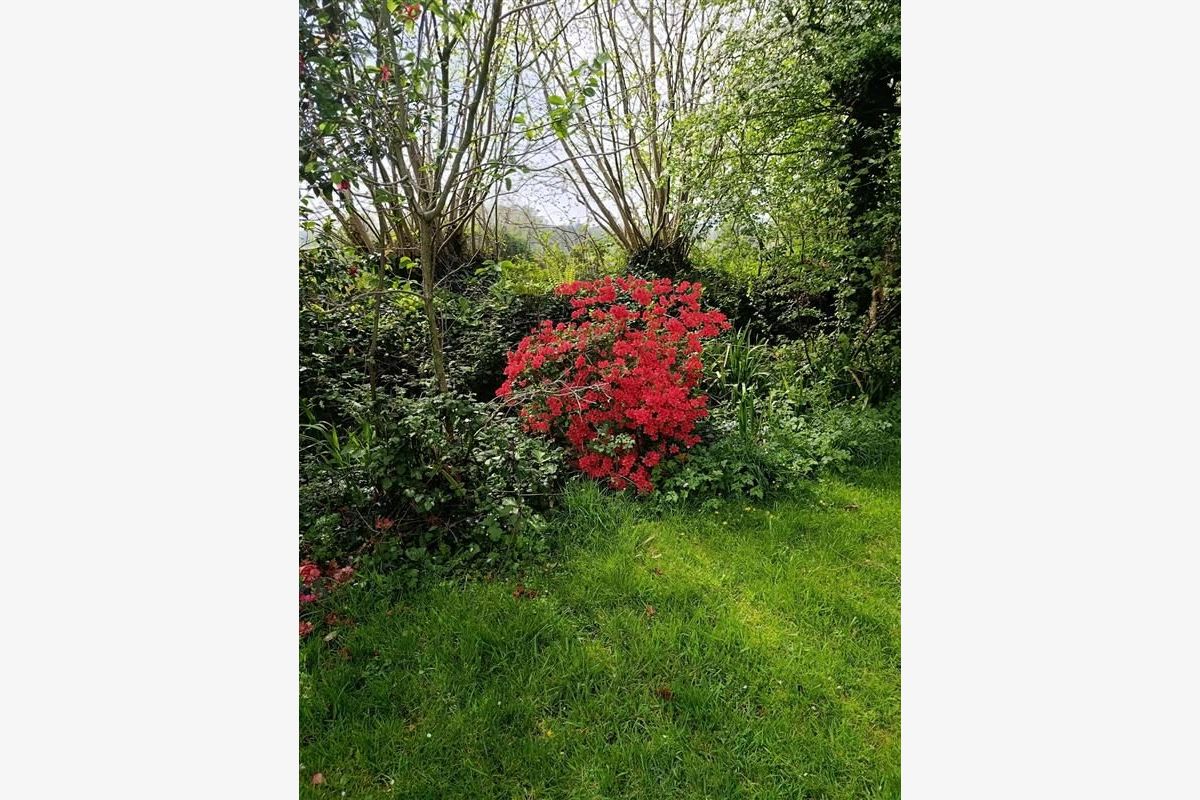 MAISON FAMILIALE RARE A LA VENTE - 104489_12.jpg