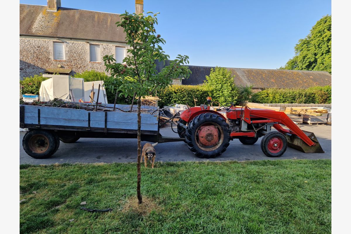 Massey Ferguson 122 - 121308_0.jpg