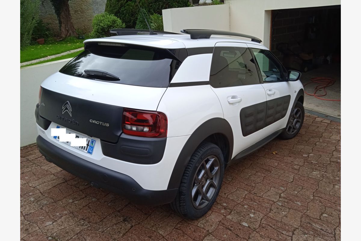 C4 Cactus, diesel - 127916_1.jpg