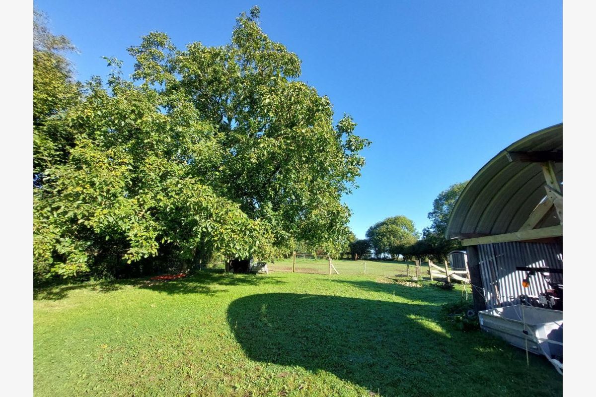 Maison à vendre Le Mesnil-Aubert - 129935_13.jpg