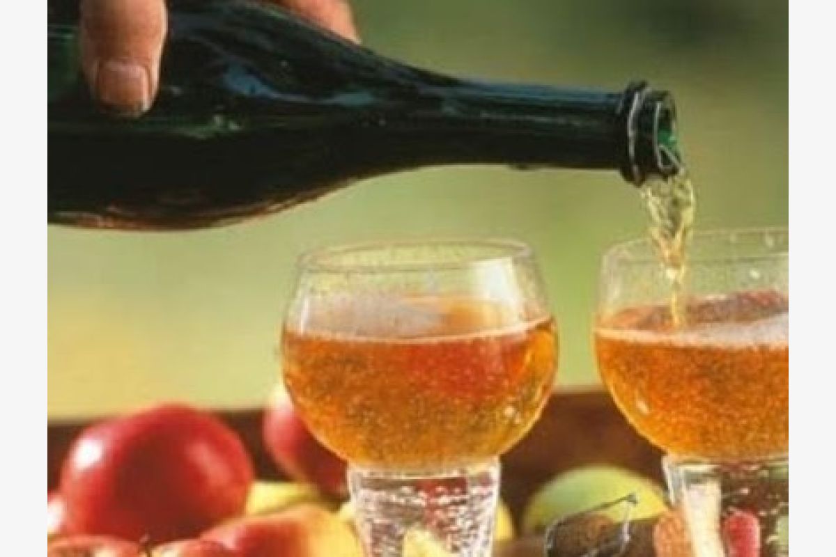 Photo 1 Cidre nouveau fermier soutiré en vrac