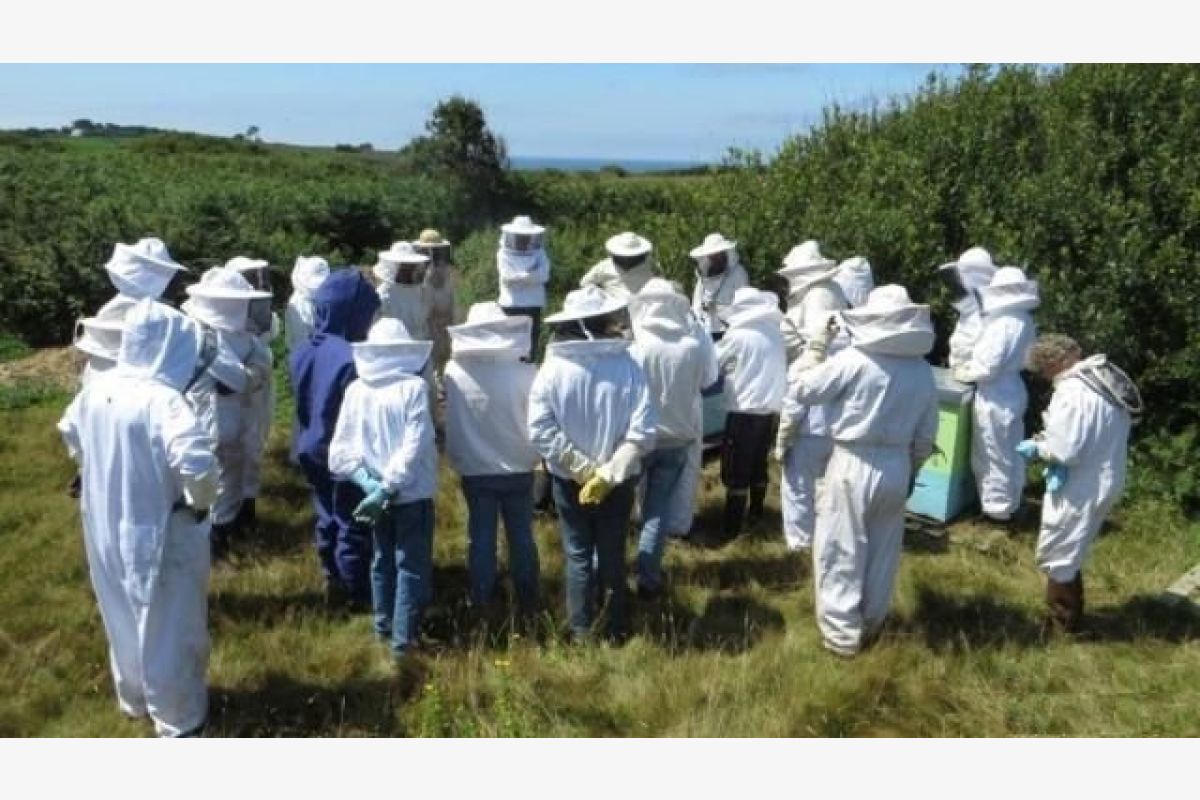 Formation apiculture - 135937_0.jpg