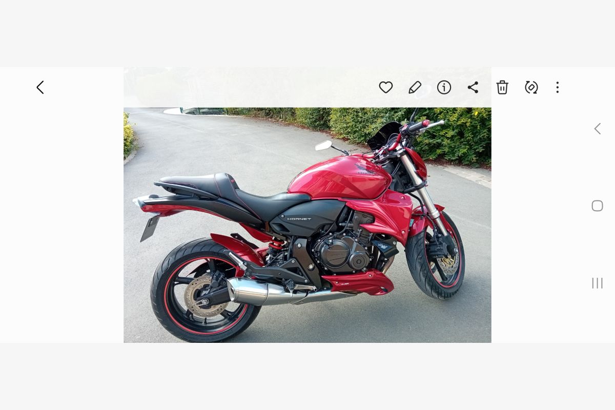 CB 600 F Hornet Permis A - 150527_682c7d9acba8c4-50900779.jpg