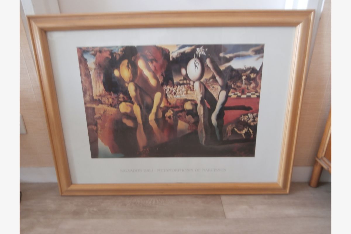 reproduction tableau Dali - 150960_6832d8a1410170-00076431.jpg