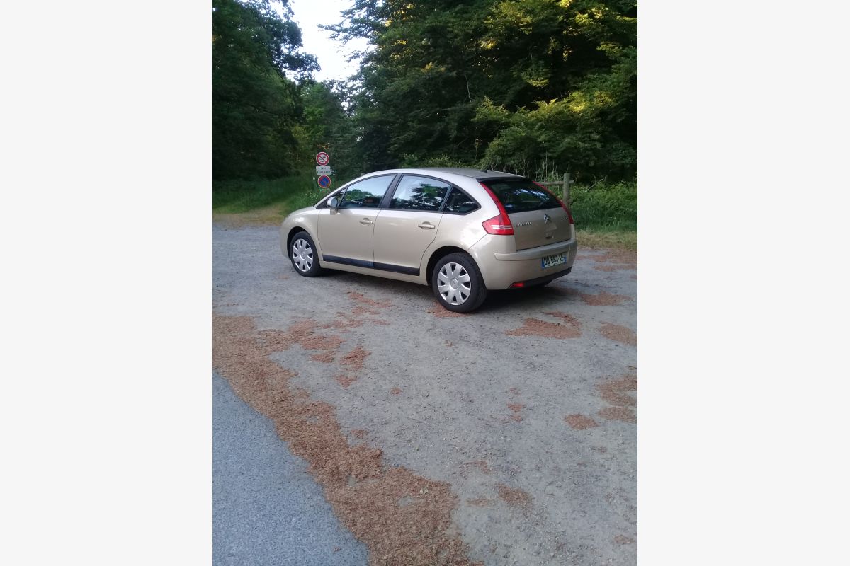 citroen c 4 - 151151_683453023a6546-02165875.jpg