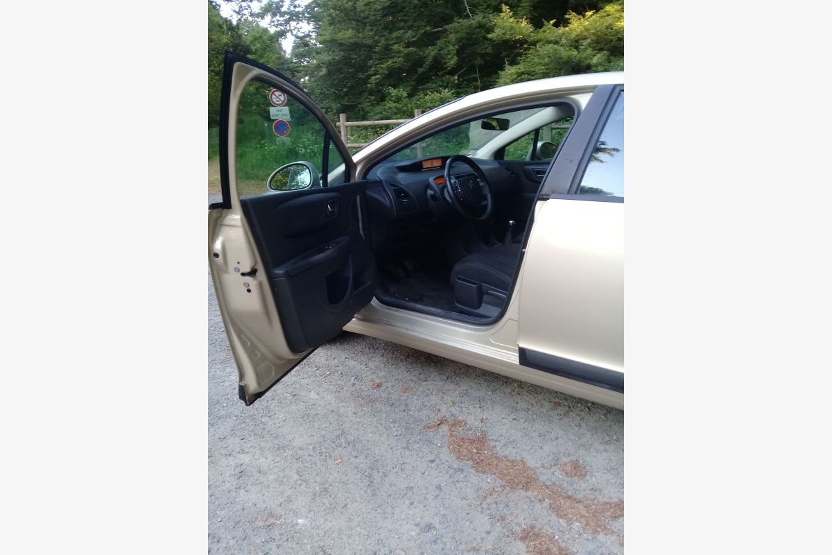 citroen c 4 - 151151_68345306e46c13-77163996.jpg