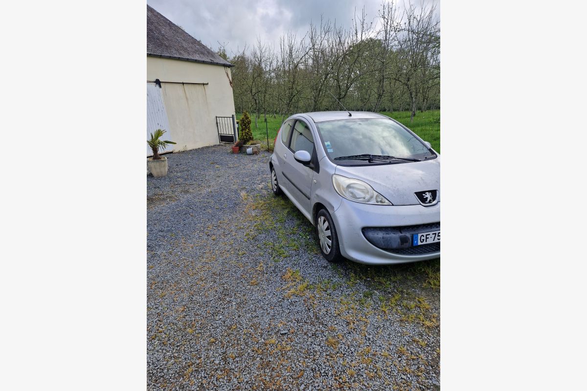 A vendre voiture - 151241_683474394a0ff1-66613280.jpg