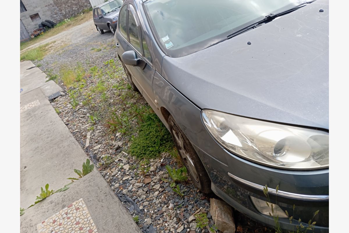 A vendre 407 - 151563_68395dcf1996d7-47159967.jpg