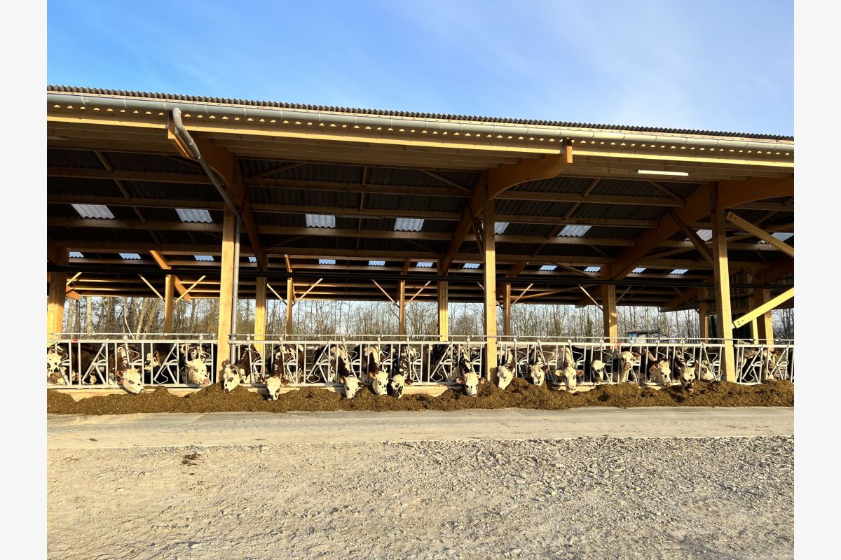 Recherche salarié·e agricole - 153162_684aa024ebe961-54798511.jpg