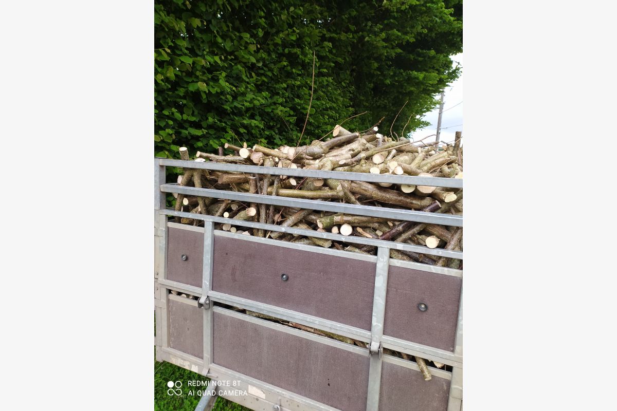 Bois pour barbecue - 153477_68500d6e8a7746-10588612.jpg