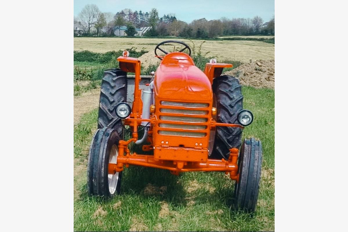 Tracteur D22 - 155271_68612266933465-34320224.jpg