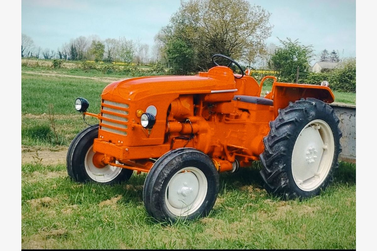 Tracteur D22 - 155271_6861226776fd69-34830481.jpg