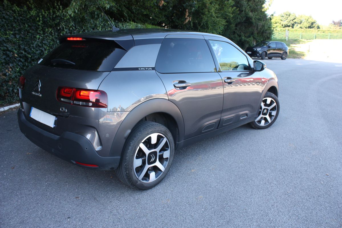 C4 Cactus essence Shine 2019, 50.000 km - 157046_68755100e4e070-10973314.jpg