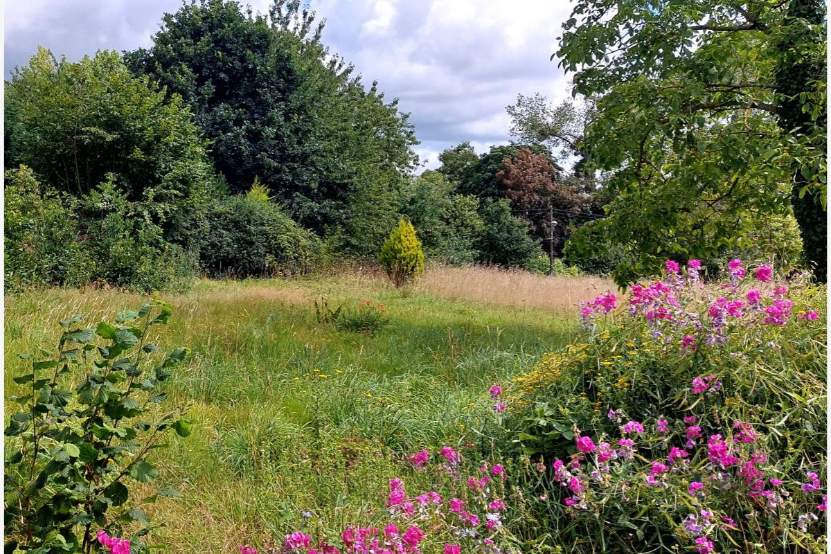 Terrain à bâtir de 2480 m² à Quettreville-sur-Sienne  - 158665_6880ad647e3f43-85211093.jpg