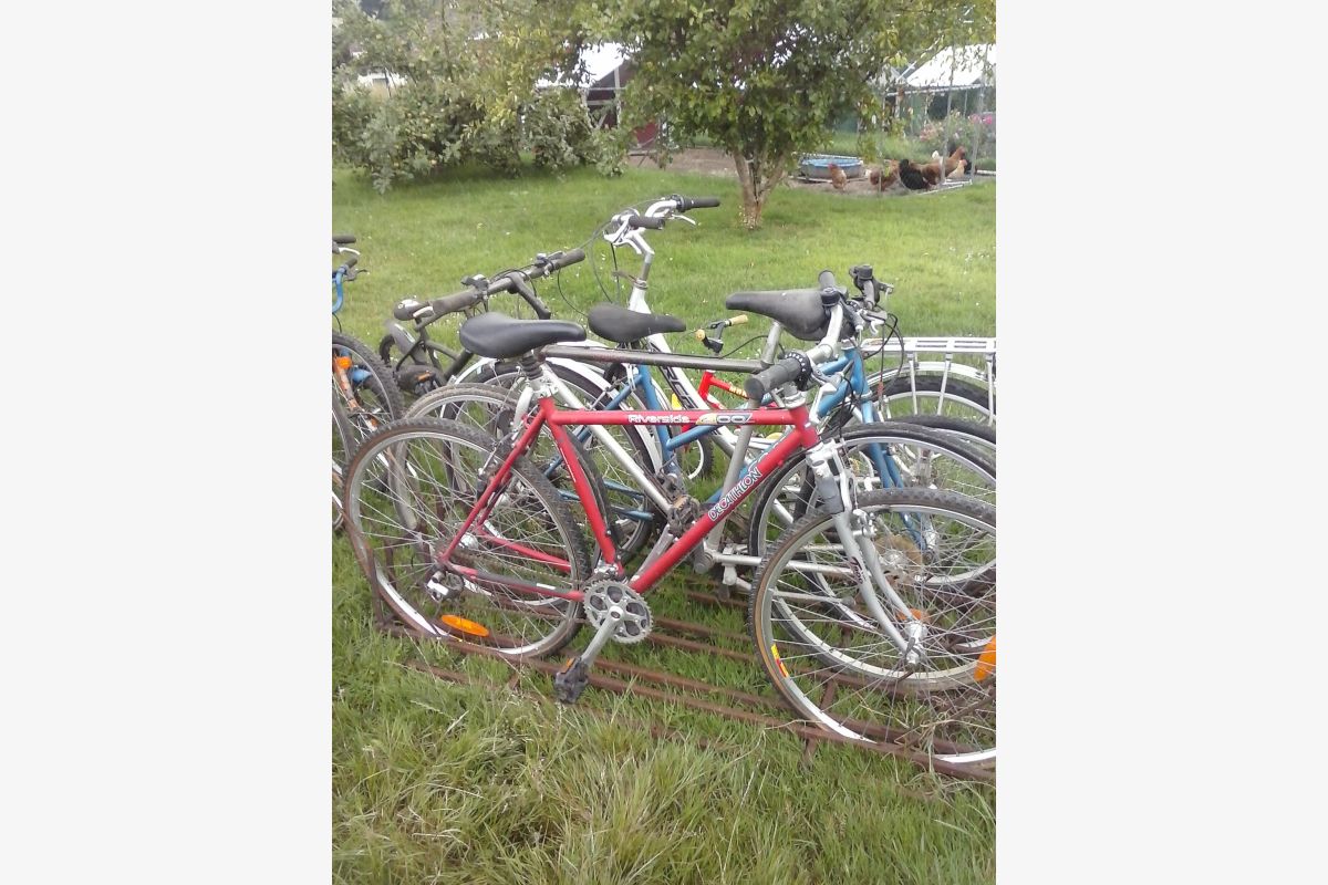 Vélos - 159526_688f96048aa823-84959092.jpg