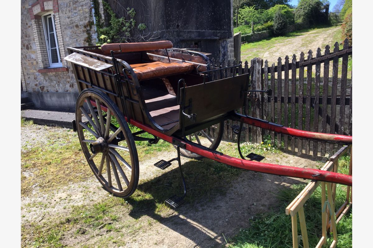 Carriole un cheval - 161511_a412c2f00b1cf44034dfc05585fdd402.jpg