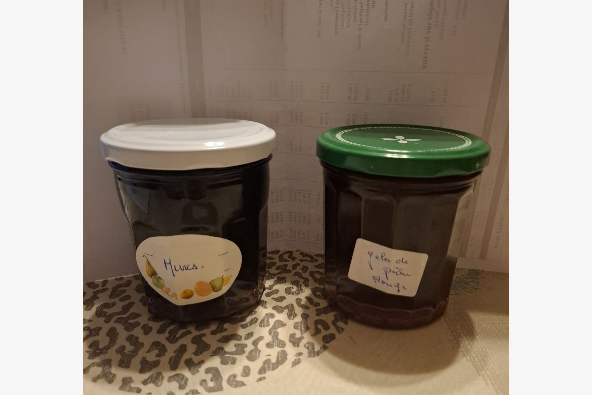 Gelée de mûres, pommes, poires, pêches rouges - 162591_216822238ac1cd79afb8319bb3080239.jpg