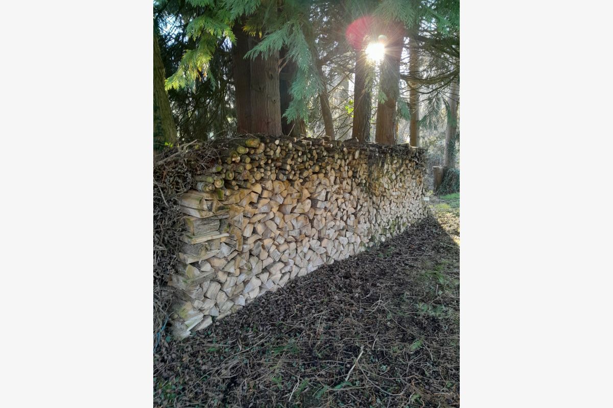 Bois de chauffage - 164335_207471e81b45b797d3faac4ca9fa9c2c.jpg