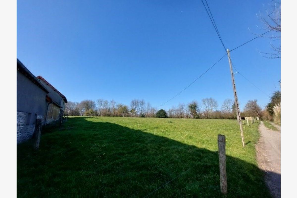 Maison avec 1.7 hectare - 164343_7.jpg