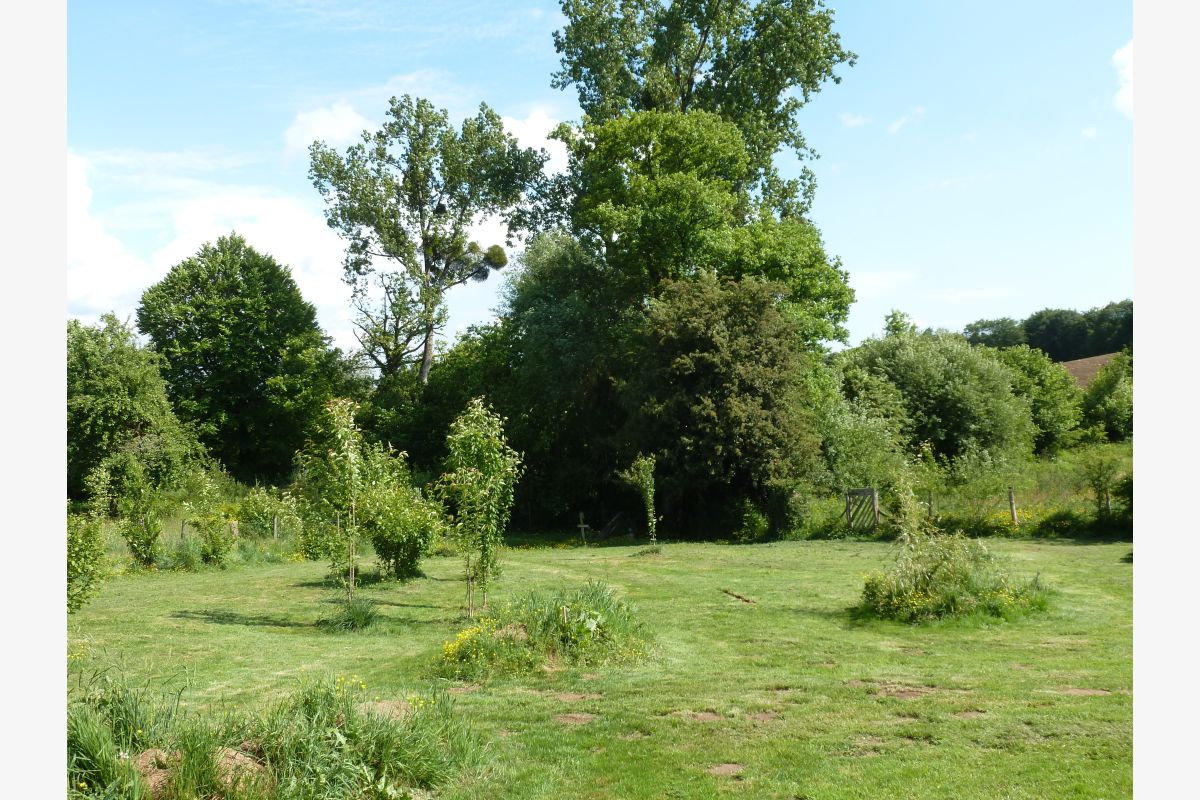 Maison de campagne à finir de restaurer - 164408_c8c78f8c3e076a49cce6b72ee2ec5268.jpg