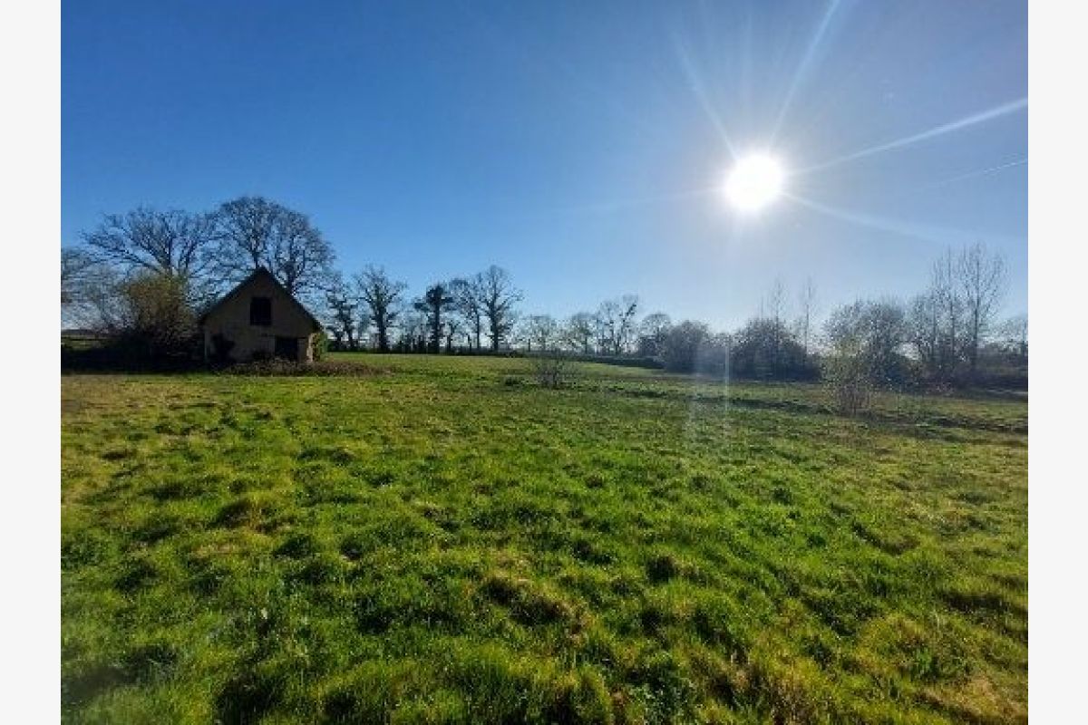 CERENCES petite ferme avec 5 hectares à vendre - 164466_5.jpg