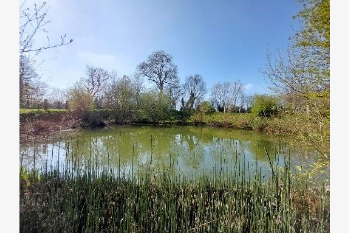 Manoir avec dépendances et 9 hectares - 164469_12.jpg
