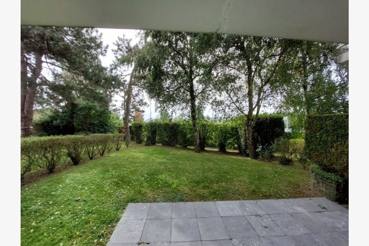 Appartement F2 avec jardin et parking - 164481_1.jpg