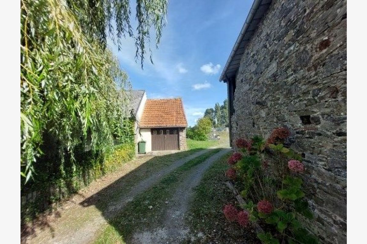 Brique - 164541_7.jpg