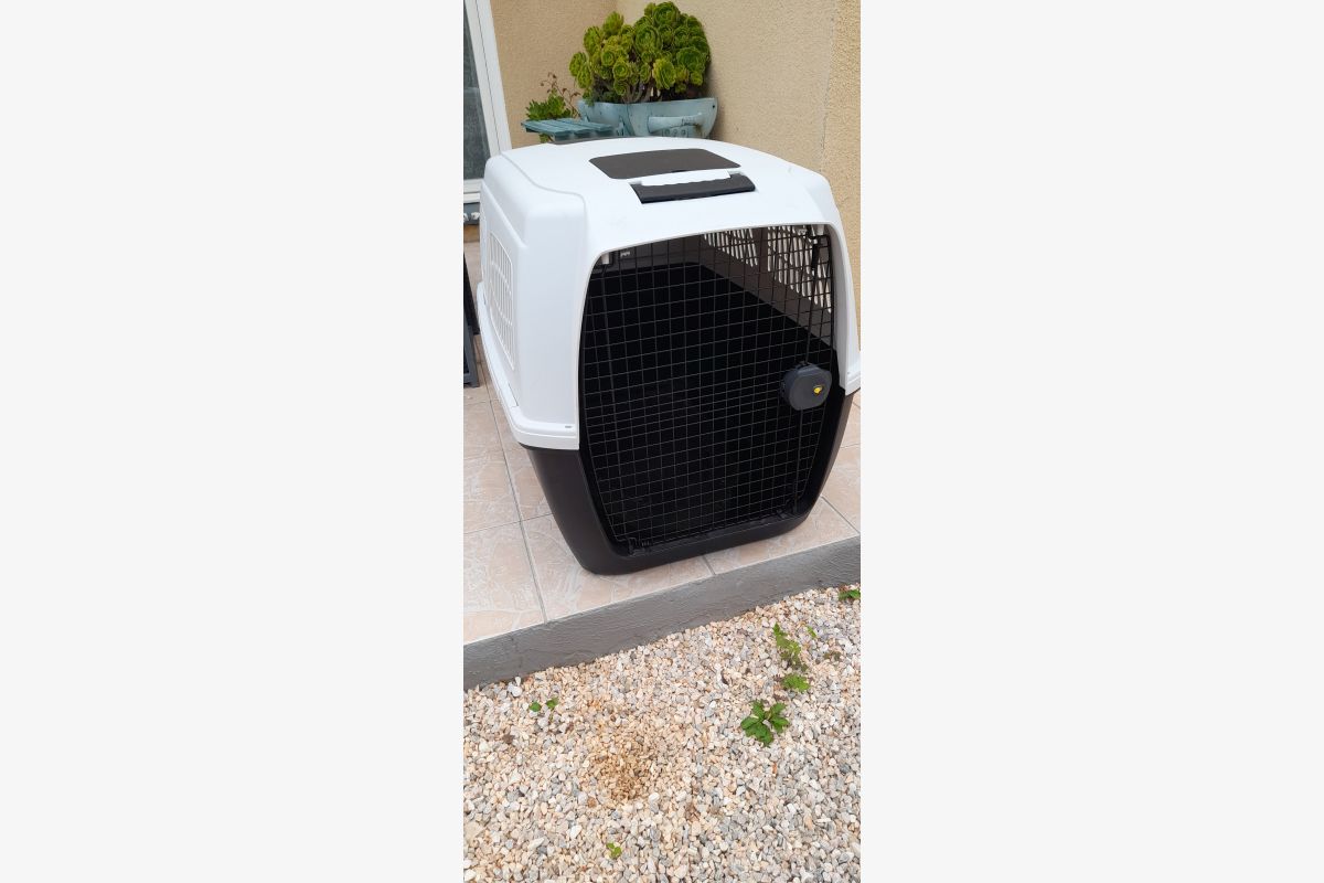 Cage de voyage pour chien - 166071_852bf127cf9a9b5952c35f598bd07672.jpg