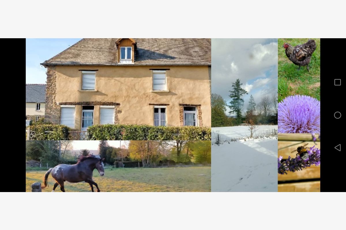 Maison 4 chambres, 3.100 m2, campagne St-Lô  - 166284_09229c70b3cfe04db7f2e56b25a3e067.jpg