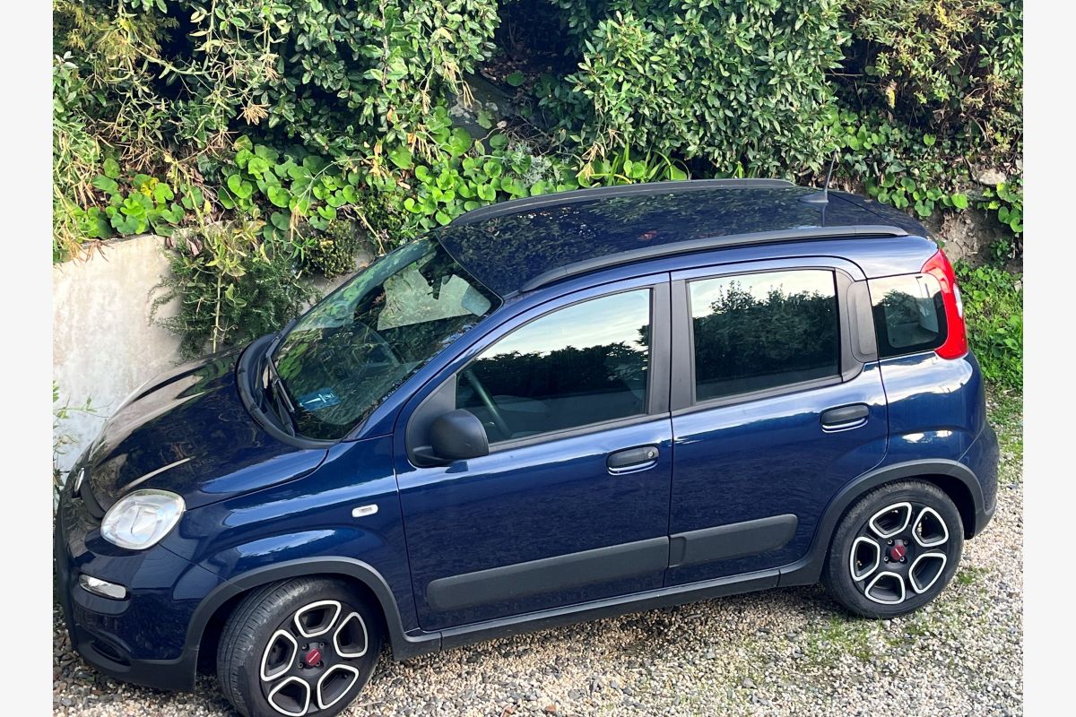 Photo 1 Panda micro hybride