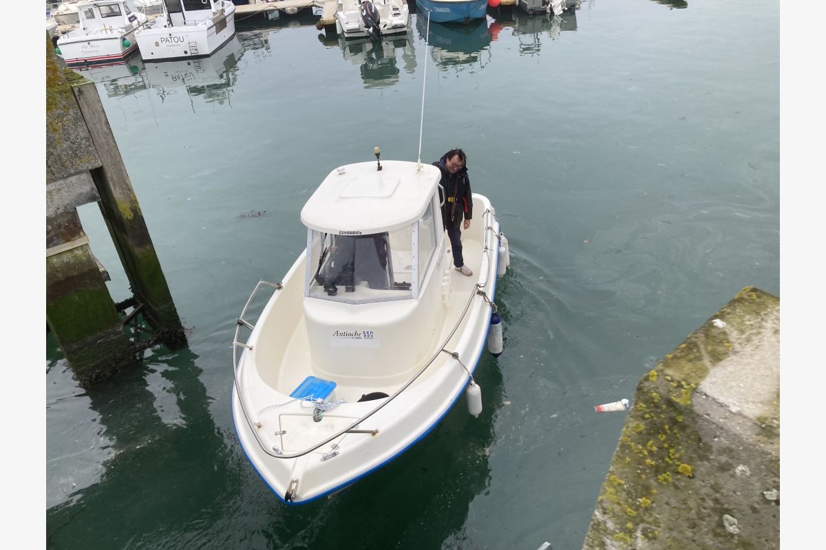 Photo 1 Bateau Antioche 550 avec moteur Evinrude 75 cv