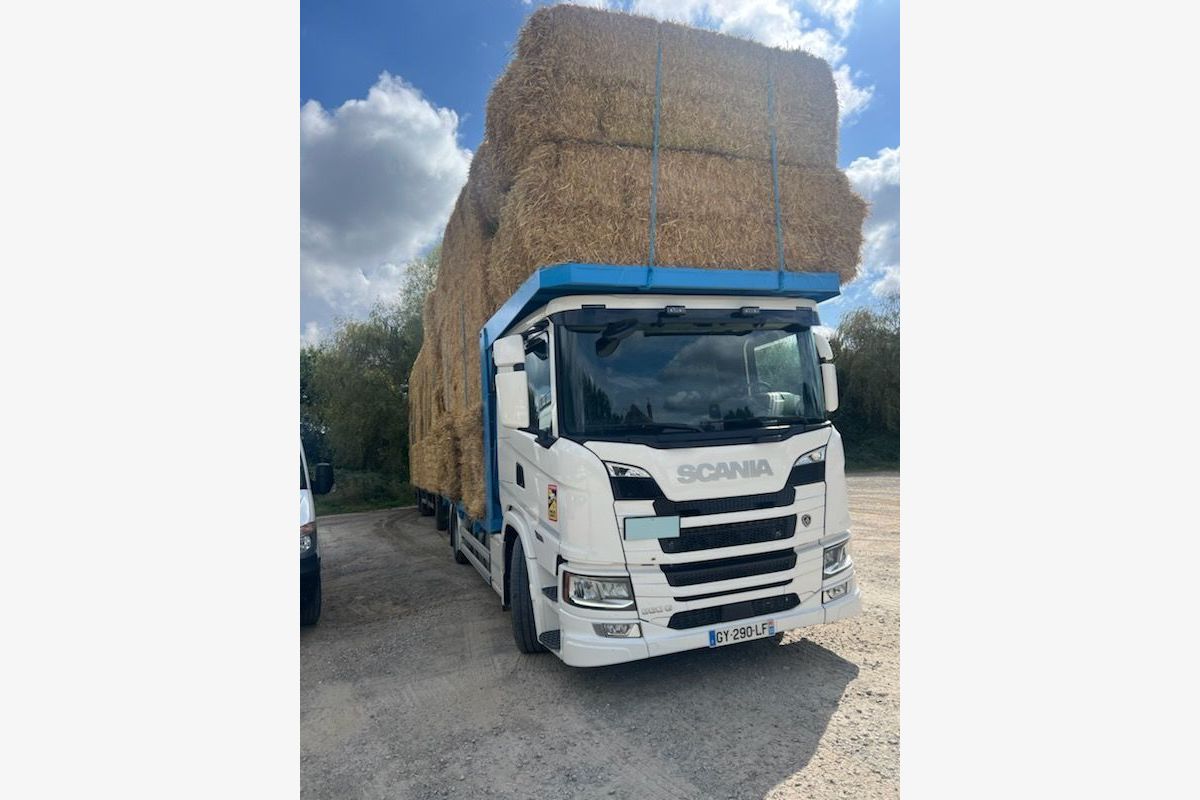 Photo 1 Paille de blé, orge