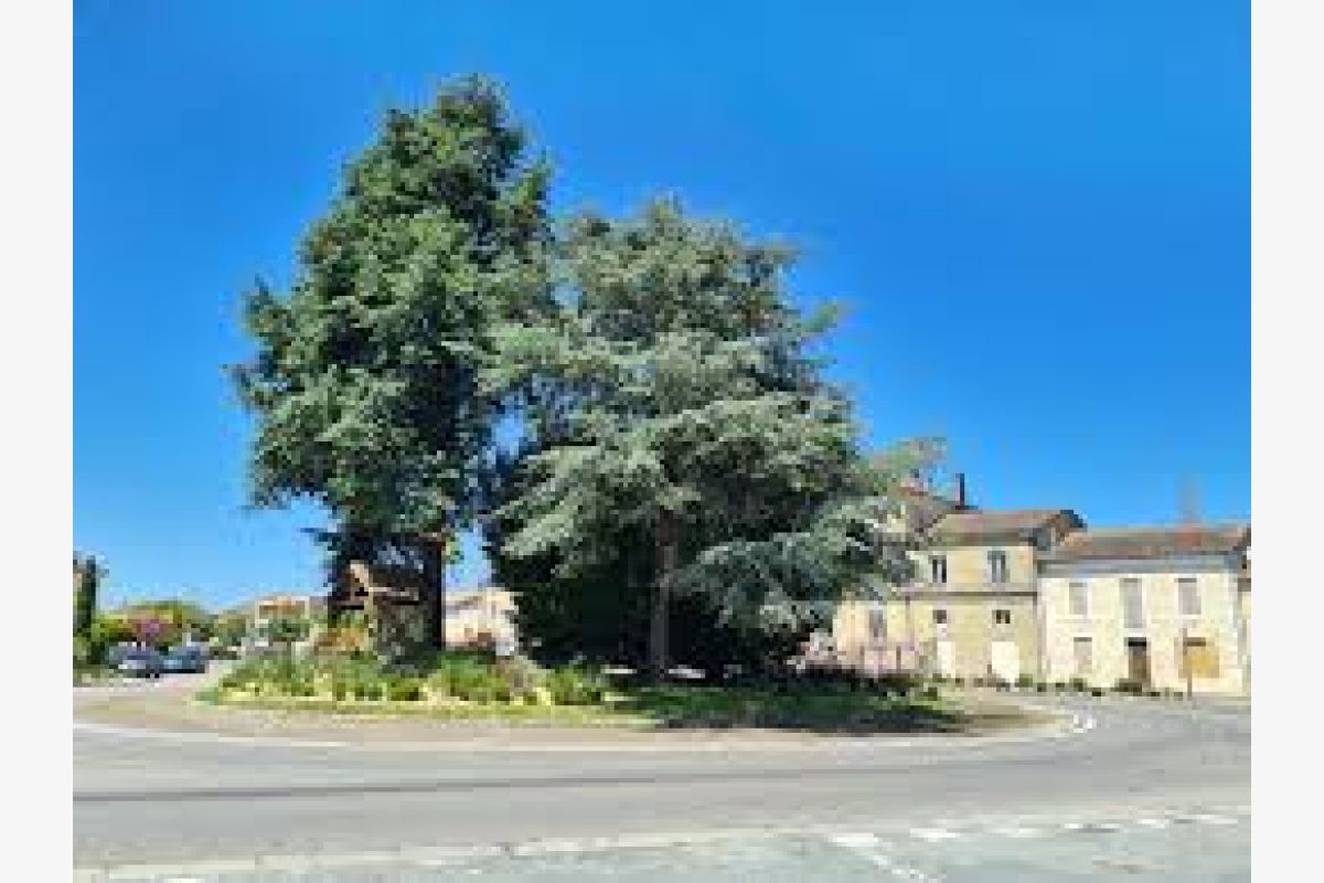 Garage / Garde meubles - 170830_5deabfd7253403a0bb2e09bdd2e959b3.jpg